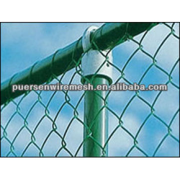 50x50mm Green Pvc coated Chain link fence